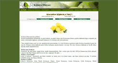 Desktop Screenshot of kolonya.info